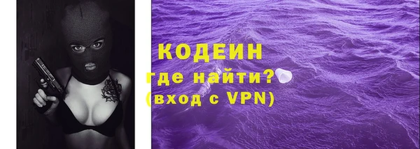 прущие грибы Заводоуковск