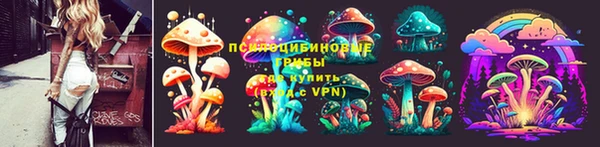 альфа пвп Заволжск