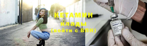 прущие грибы Заводоуковск
