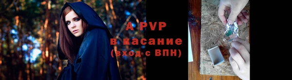 альфа пвп Заволжск