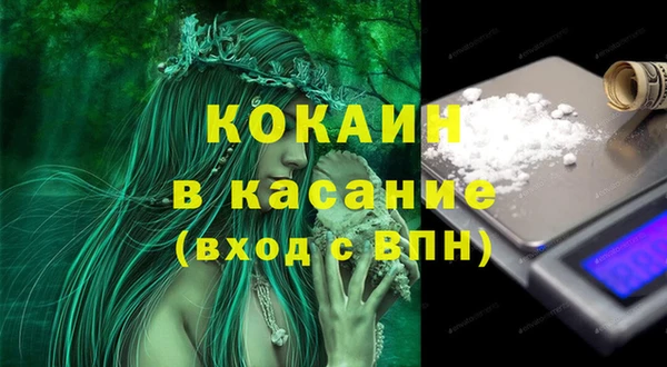 прущие грибы Заводоуковск