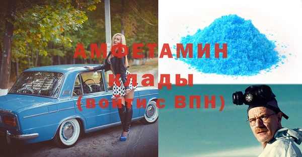 прущие грибы Заводоуковск