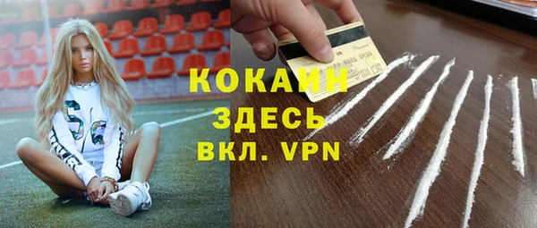 прущие грибы Заводоуковск