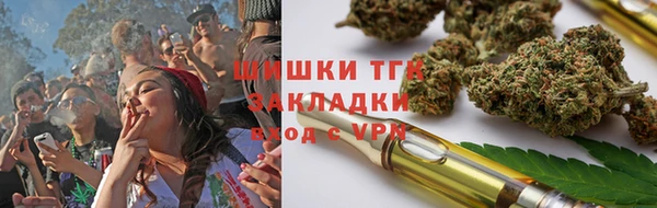 прущие грибы Заводоуковск