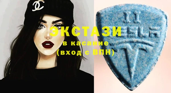 прущие грибы Заводоуковск