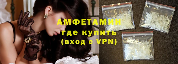 прущие грибы Заводоуковск